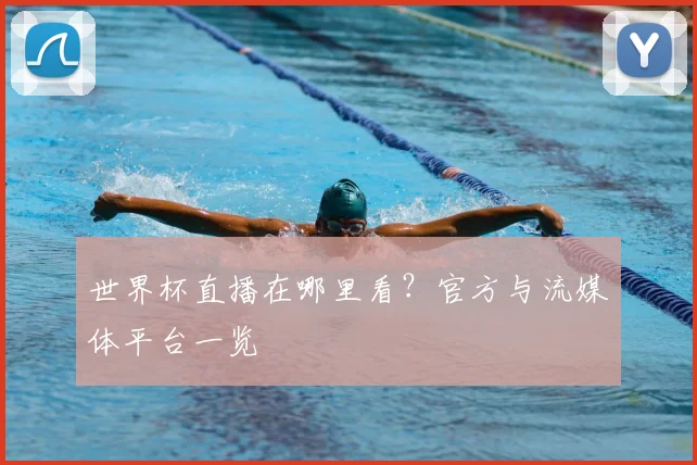 世界杯直播在哪里看？官方与流媒体平台一览